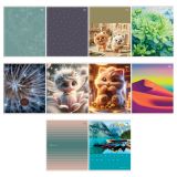 Тетрадь 48л., А5, линия BG "Микс-10. девочки", эконом