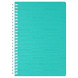 Бизнес-тетрадь A5, 80л., Berlingo "Your Way", клетка, на силиконовом гребне, 80г/м2, пластик обложка 600мкм, мятная