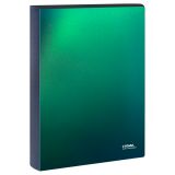 Папка на 4 кольцах СТАММ "Хамелеон" А4, 40мм, 700мкм, пластик, зеленый хамелеон