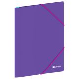 Папка на резинке Berlingo "Raze" А4, 600мкм, фиолетовая
