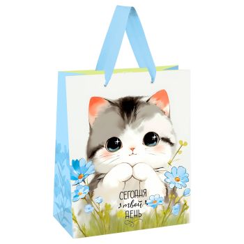 Пакет подарочный 18*23*10см MESHU 